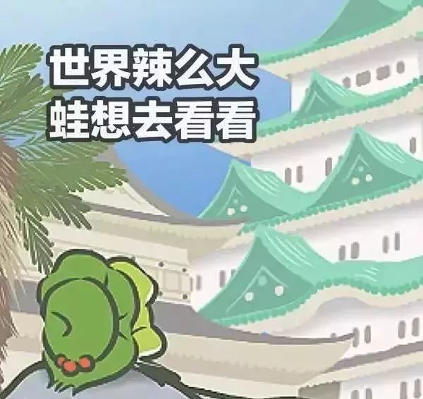旅游交换归来：三个月跨文化体验带来的成长与蜕变