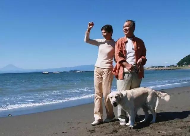 大玲子带爸妈旅行咋那么有钱？揭秘她轻松攒钱带父母周游世界的省钱秘诀