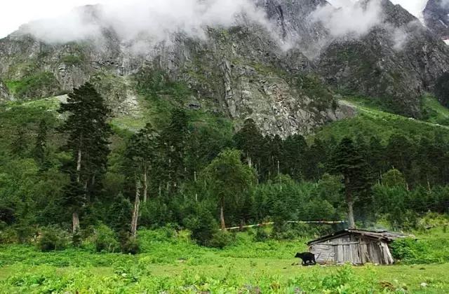 旅行发朋友圈的精美句子短句：让你的旅行照片瞬间提升格调，告别词穷尴尬