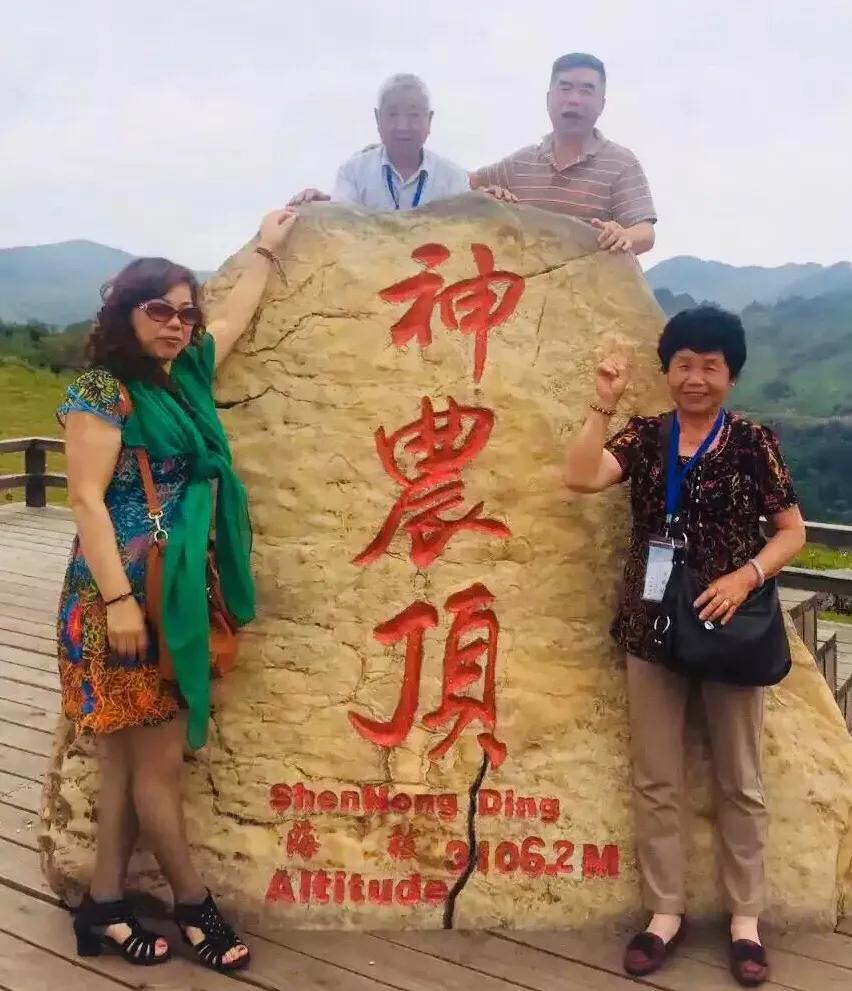 大玲子带着爸妈去旅行多有钱：陪伴父母的智慧消费与情感连接指南